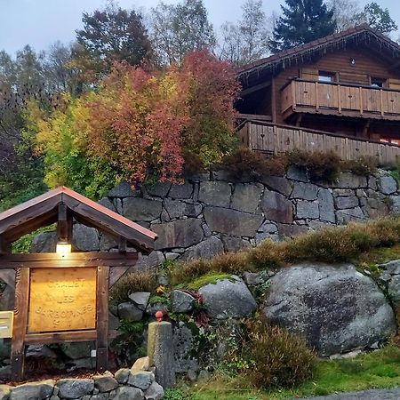 Chalet Typique Vosgien "Les Barbotines" Ventron Dış mekan fotoğraf