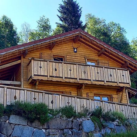 Chalet Typique Vosgien "Les Barbotines" Ventron Dış mekan fotoğraf