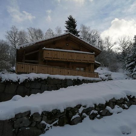 Chalet Typique Vosgien "Les Barbotines" Ventron Dış mekan fotoğraf