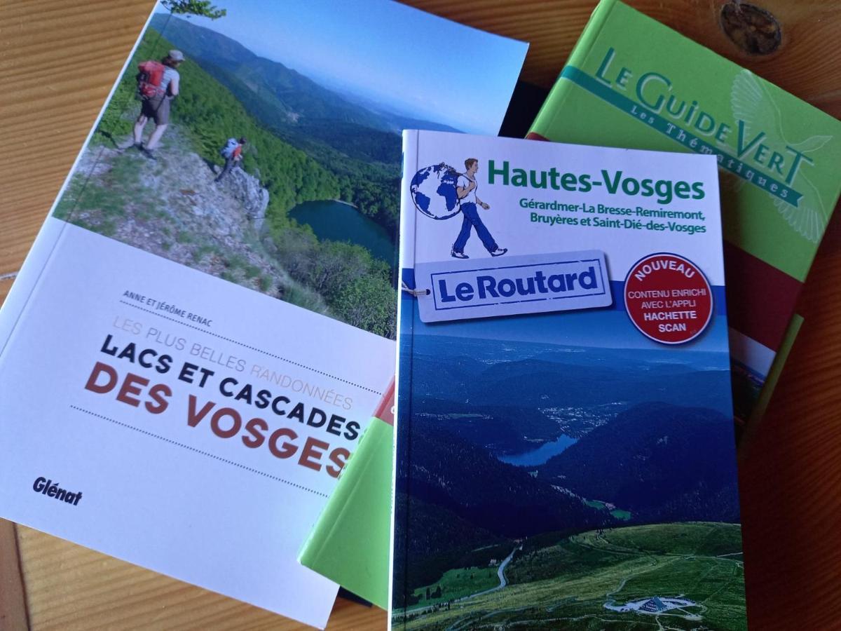 Chalet Typique Vosgien "Les Barbotines" Ventron Dış mekan fotoğraf