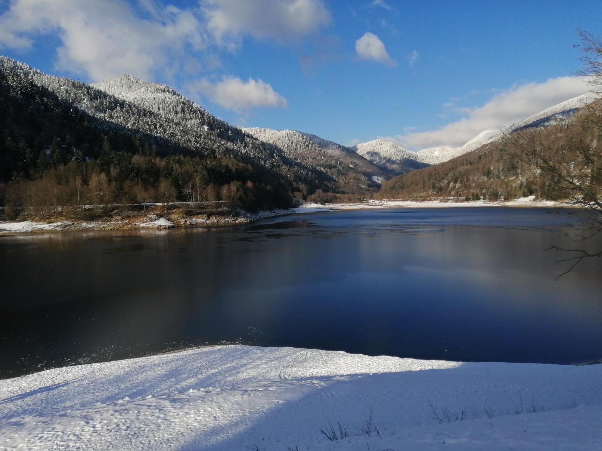 Chalet Typique Vosgien "Les Barbotines" Ventron Dış mekan fotoğraf