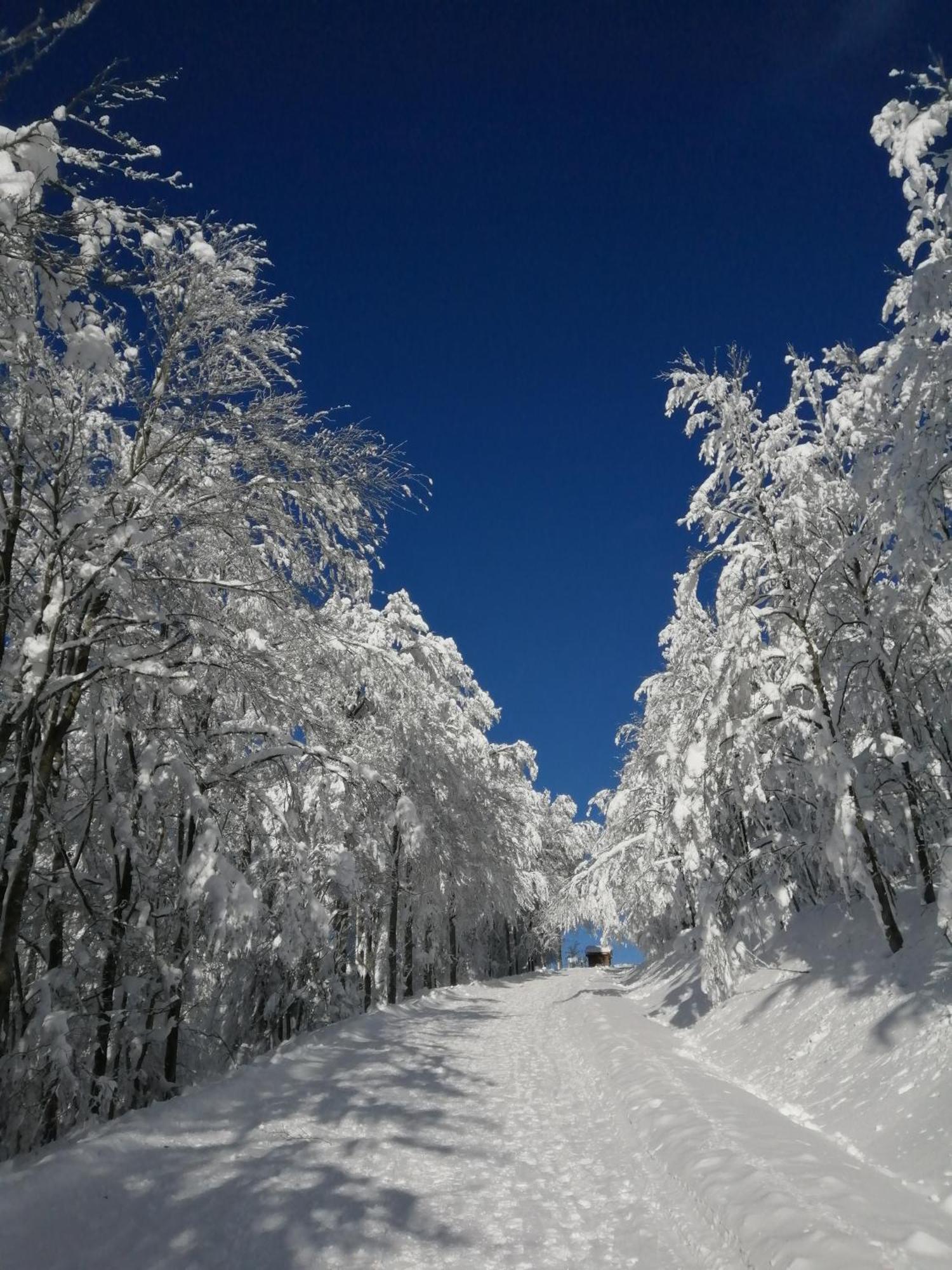 Chalet Typique Vosgien "Les Barbotines" Ventron Dış mekan fotoğraf